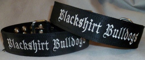 2" Flat Collar with Embroidery